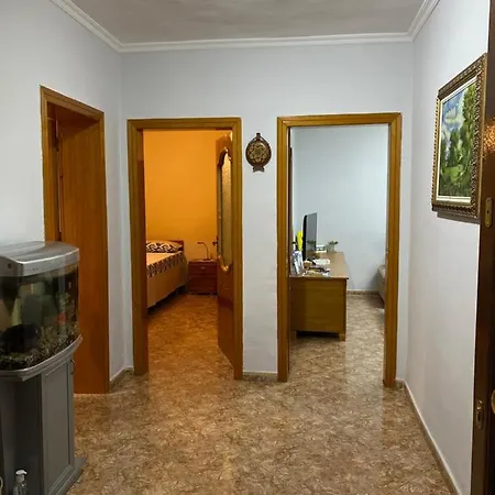 Bledi's Tirana