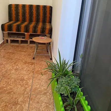 Bledi's Tirana